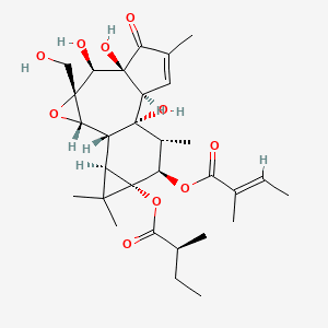STELFONTA 1 mg/ml Roztwór do wstrzykiwań (Tigilanol tiglate) — reference image