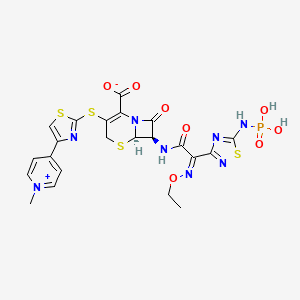Zinforo 600 mg Proszek do sporządzania koncentratu roztworu do infuzji (Ceftarolinum fosamilum) — reference image