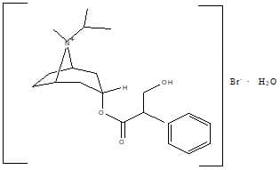 Atrovent Unit Dose 250 microgram/2 ml, verneveloplossing Verneveloplossing (IPRATROPIUMBROMIDE 0-WATER) — reference image