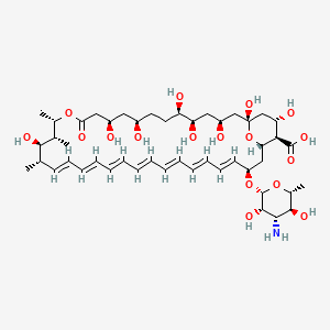Abelcet 5 mg/ml Koncentrat do sporządzania zawiesiny do infuzji (Amphotericinum B) — reference image