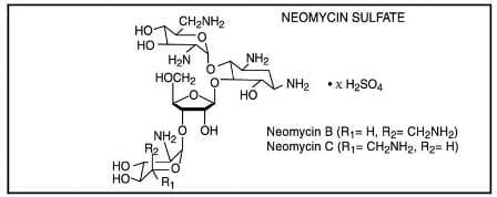 NEO-POLYCIN HC OPHTHALMIC OINTMENT 點眼膏劑 (POLYMYXIN B SULFATE) — reference image