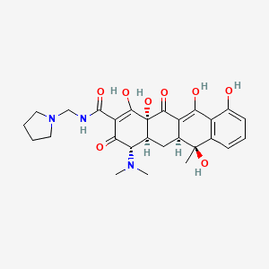 TETOCYN-P INJECTION "SINTONG" 乾粉注射劑 (ROLITETRACYCLINE) — reference image