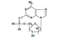 Fludara oral 10 mg filmom obložene tablete filmom obložena tableta (fludarabinum) — reference image