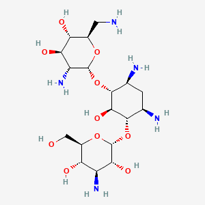 BEKANAMYCIN INJECTION 乾粉注射劑 (KANAMYCIN B) — reference image