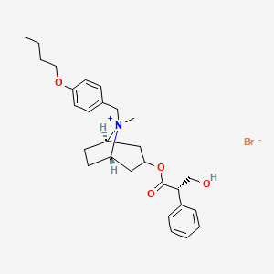 Guide des médicaments 錠劑 (BUTROPIUM BROMIDE) — reference image