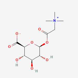 JETEPAR CAPSULES 膠囊劑 (BETAINE GLUCURONATE) — reference image