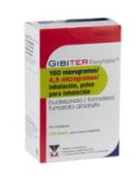 GIBITER EASYHALER 160 MICROGRAMOS/4,5 MICROGRAMOS/INHALACION POLVO PARA INHALACION by Menarini International Operations Luxembourg S.A. — reference image
