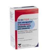 GIBITER EASYHALER 320 MICROGRAMOS/9 MICROGRAMOS/INHALACION POLVO PARA INHALACION by Menarini International Operations Luxembourg S.A. — reference image