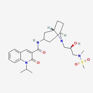 Velusetrag — reference image