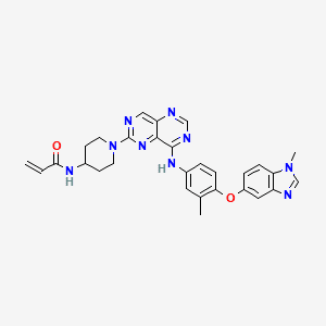 HERNEXEOS 60MG TABLET (ZONGERTINIB) — reference image