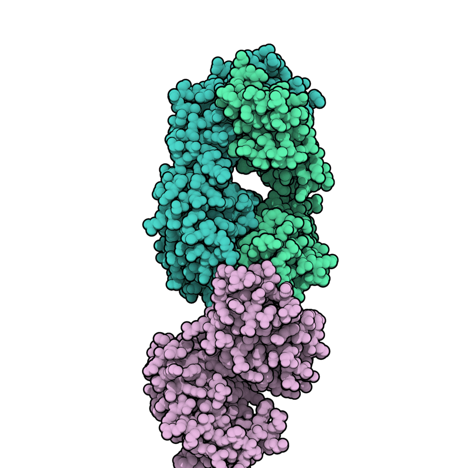 Дарзалекс
                                 (Darzalex) (daratumumab) — reference image