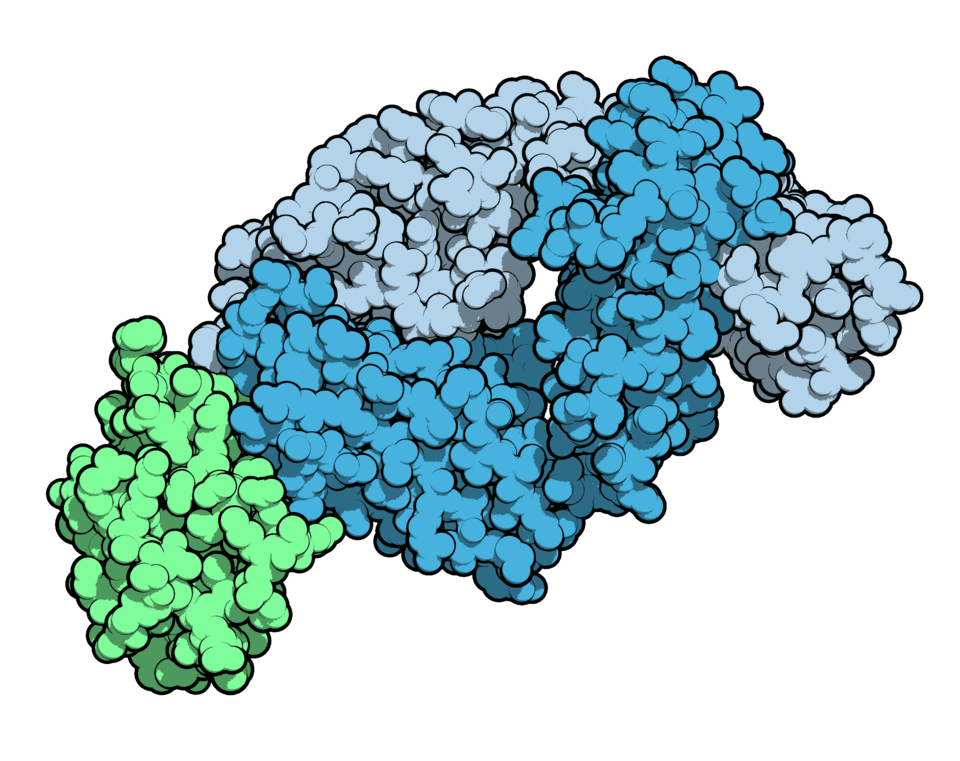 Tralokinumab (tralokinumab) — reference image
