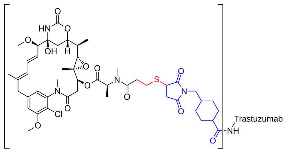 トラスツズマブBS点滴静注用60mg「NK」の基本情報 (trastuzumab emtansine) — reference image