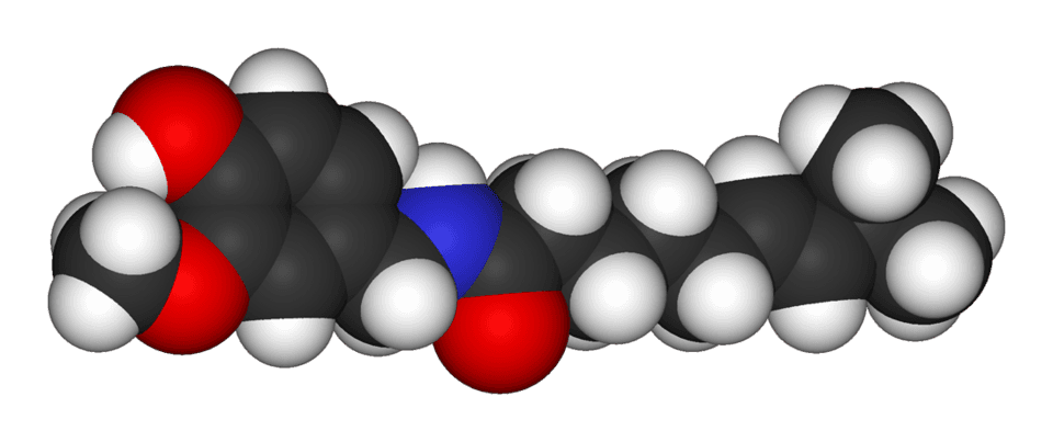 Qutenza (capsaicin) — reference image