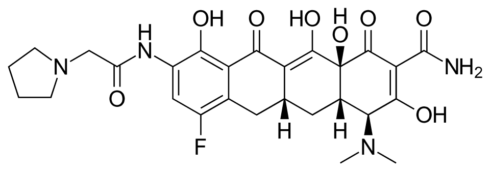 Xerava (eravacycline) — reference image