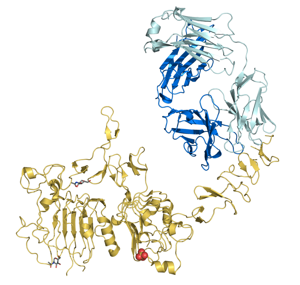 トラスツズマブBS点滴静注用60mg「NK」の基本情報 (trastuzumab) — reference image