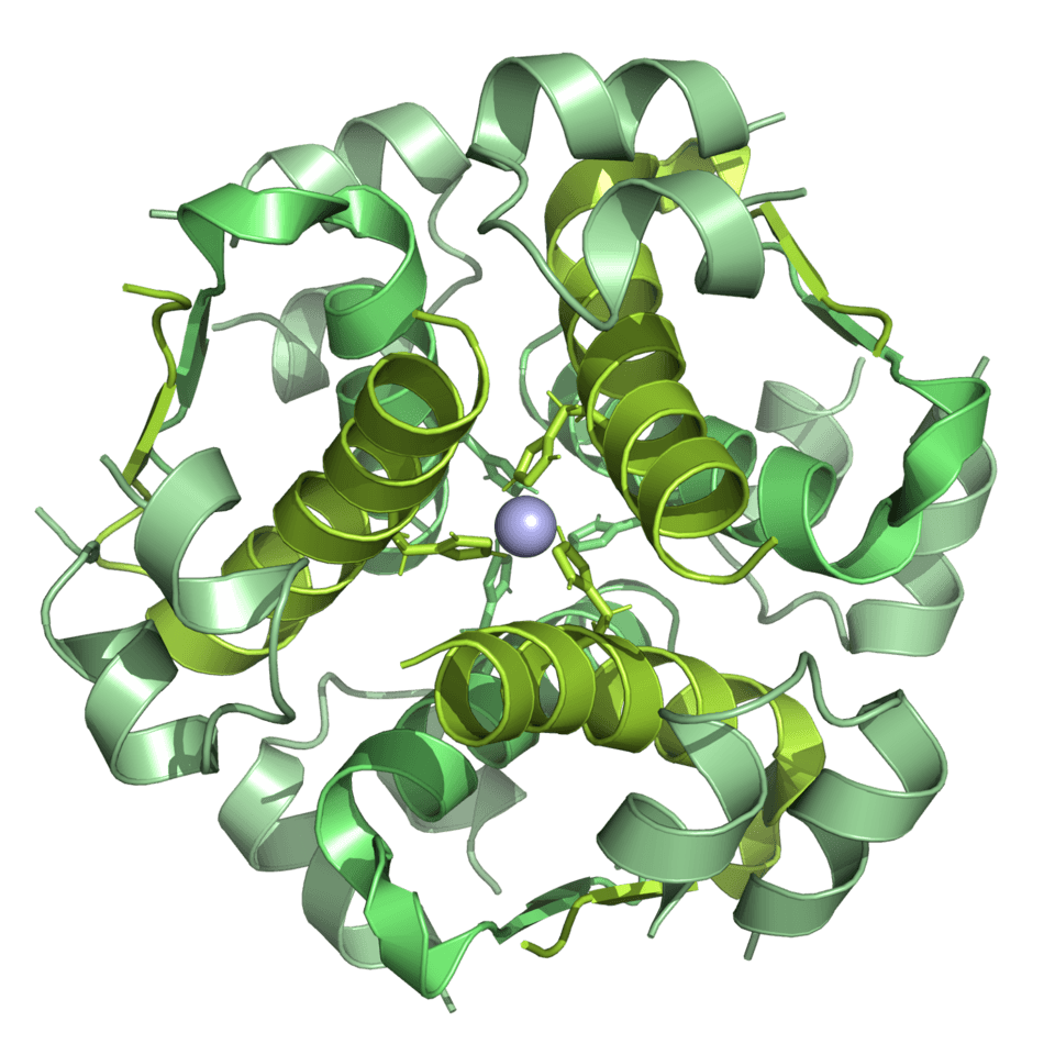 Drug — reference image. Not for sale.