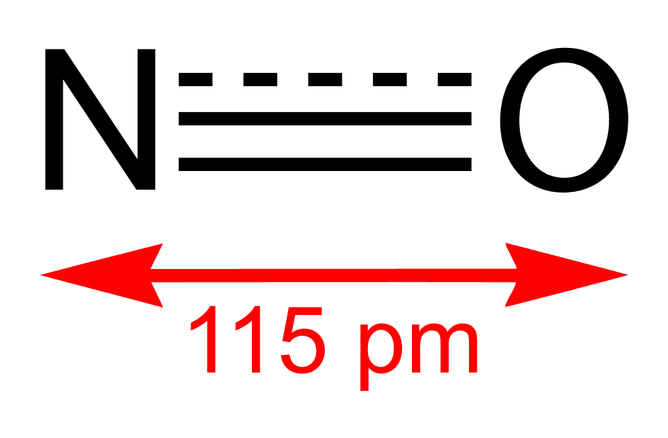 INOmax (nitric oxide) — reference image