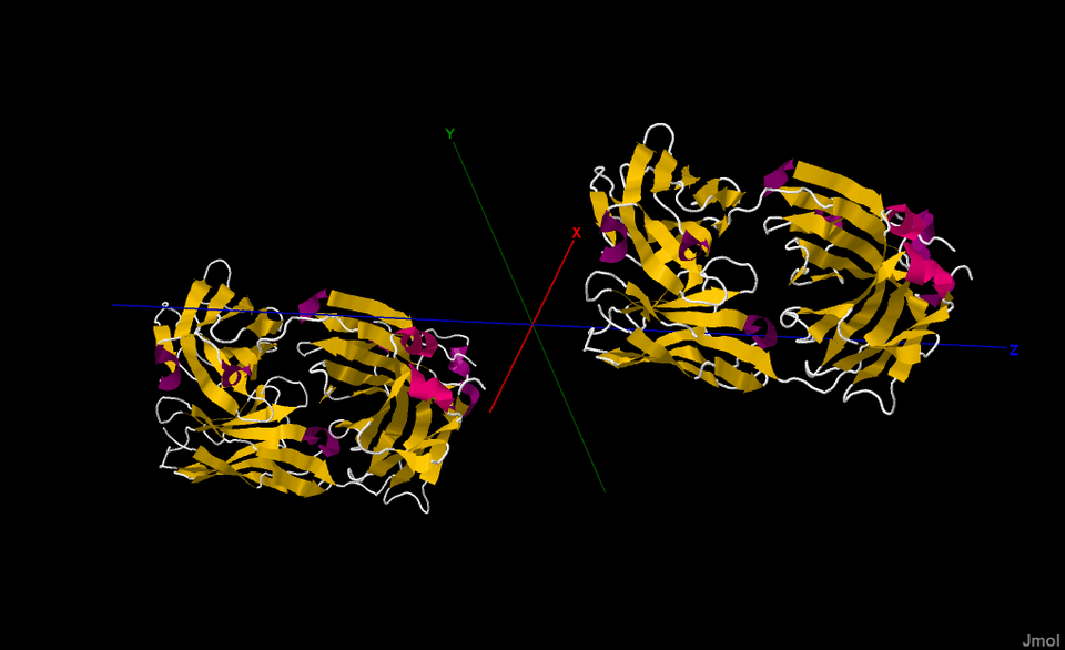 Erbitux (cetuximab) — reference image