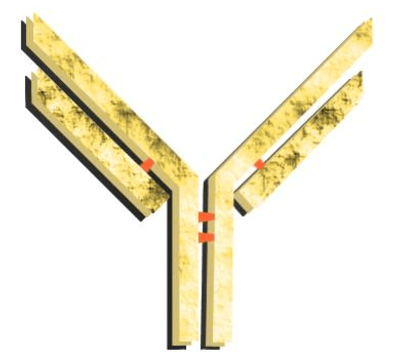 Vabysmo (faricimab) — reference image