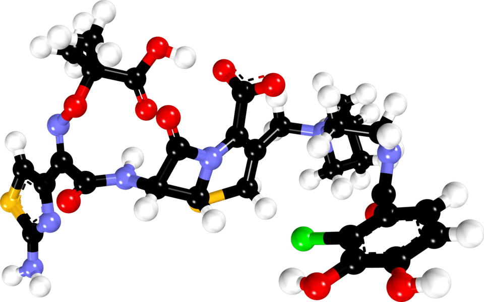 Fetcroja (cefiderocol) — reference image