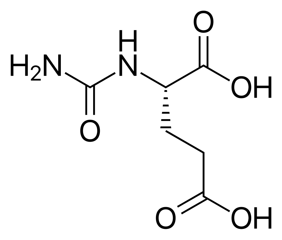 Carbaglu (carglumic acid) — reference image