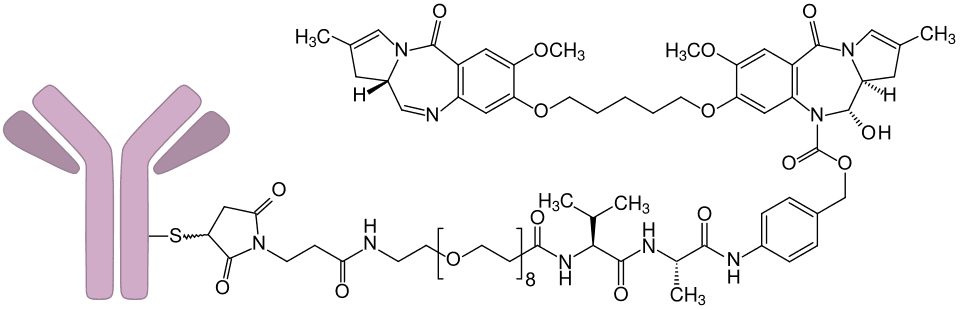 Zynlonta (loncastuximab tesirine) — reference image