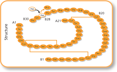インスリンアスパルトBS注カートNR「サノフィ」の基本情報 (insulin aspart) — reference image