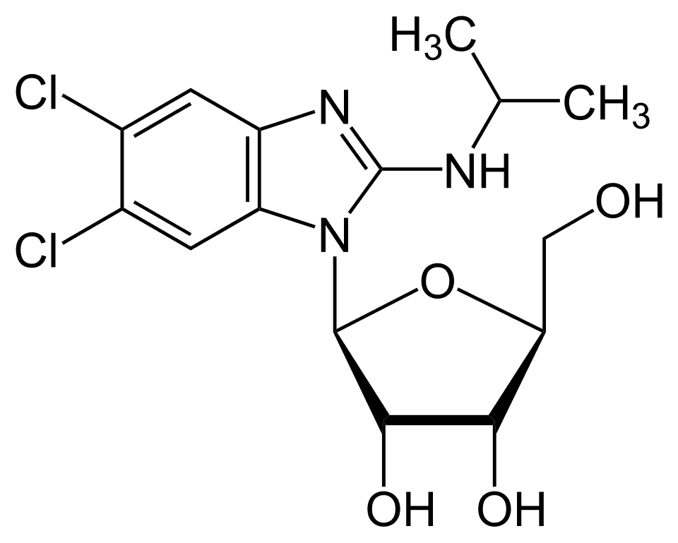 Livtencity (maribavir) — reference image