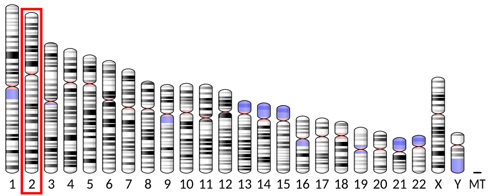 ГлюкаГен®1 мг ГипоКит
                                 (GlucaGen®1 mg HypoKit) (glucagon) — reference image