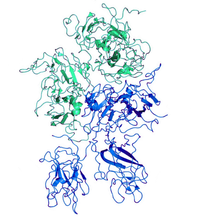 Гемлибра®(Hemlibra) (emicizumab) — reference image