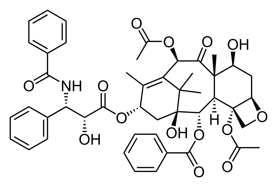 Канатаксен
                                 (Kanataxene) (paclitaxel) — reference image