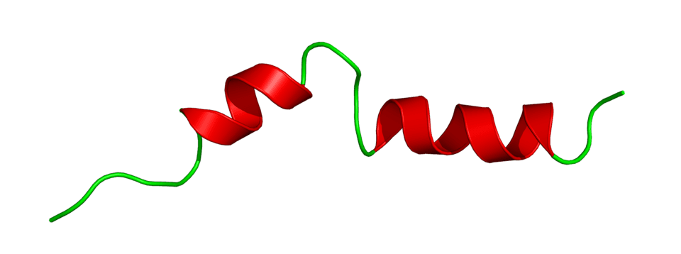 Saxenda (liraglutide) — reference image
