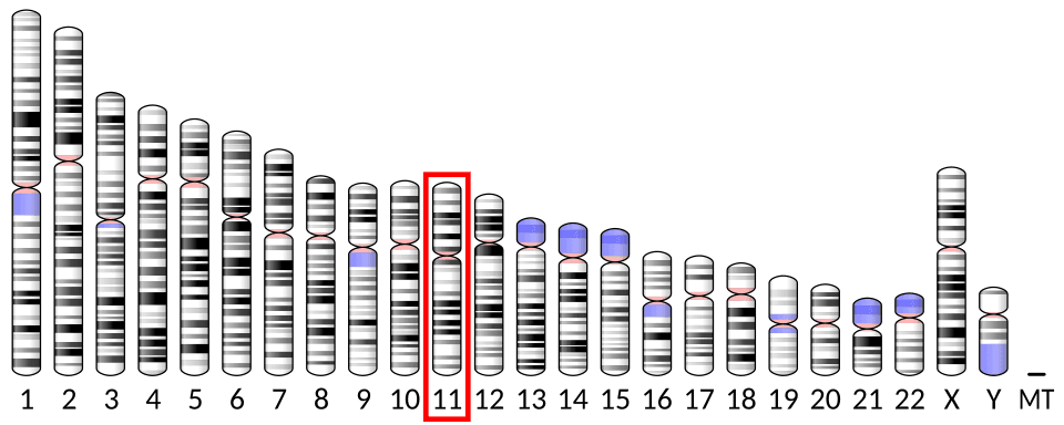 Natpar (parathyroid hormone) — reference image