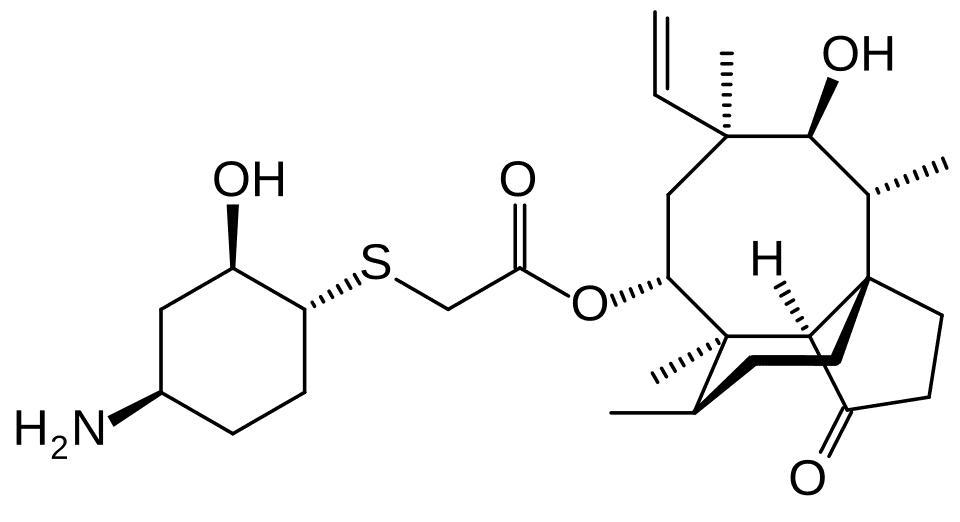 Xenleta (lefamulin) — reference image