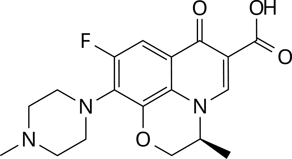 Бактофлокс
                                 (Bactoflox) (levofloxacin) — reference image