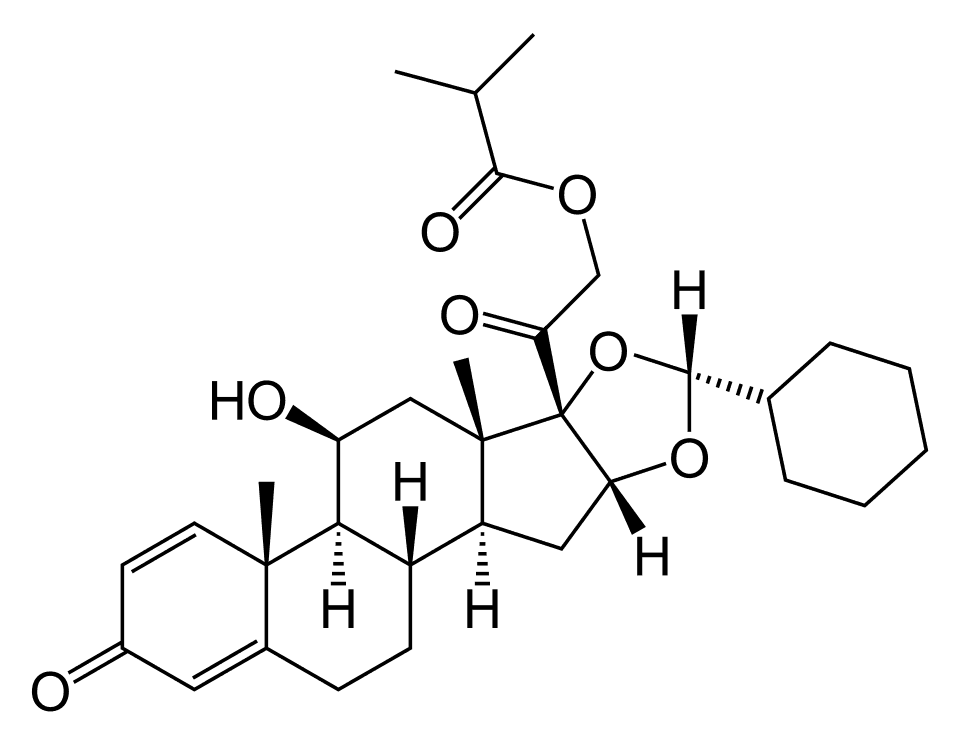 Aservo EquiHaler (ciclesonide) — reference image
