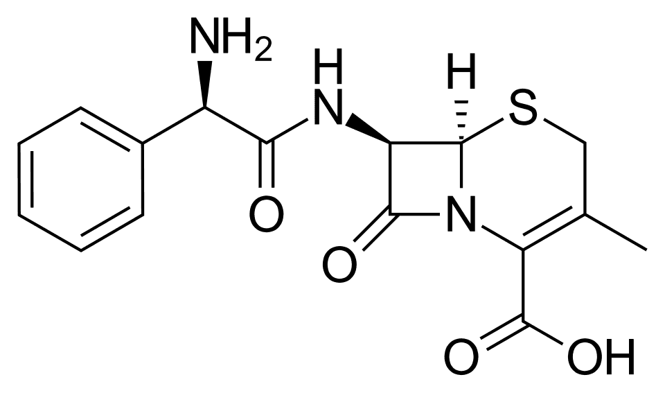 Cefalexin (cefalexin) — reference image