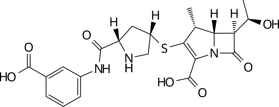 Ertapenem SUN (ertapenem) — reference image