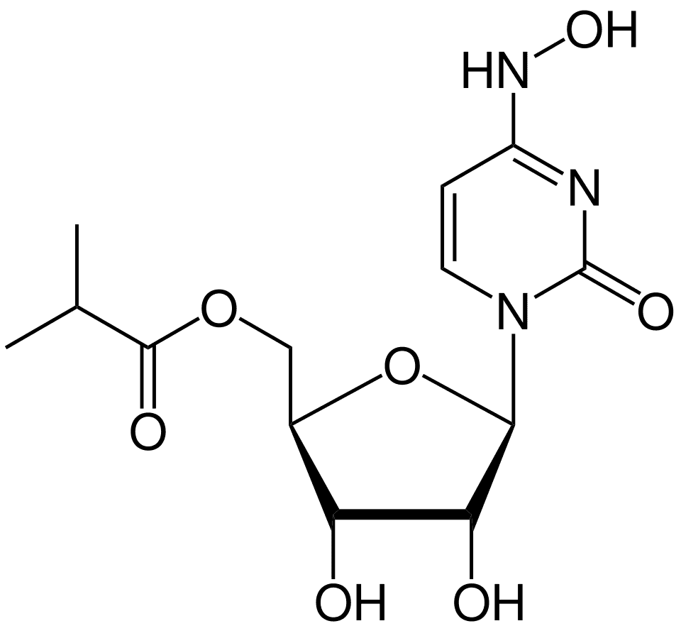 Lagevrio (molnupiravir) — reference image