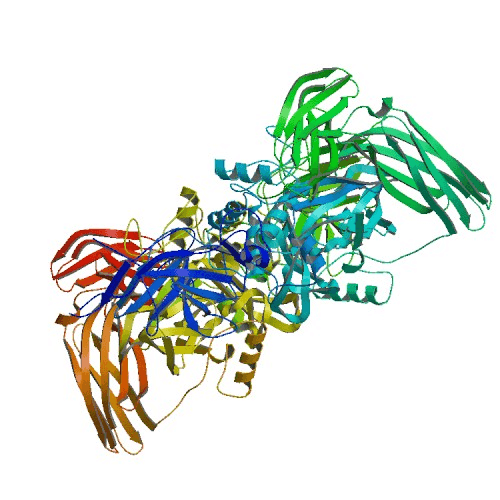 NovoThirteen (catridecacog) — reference image