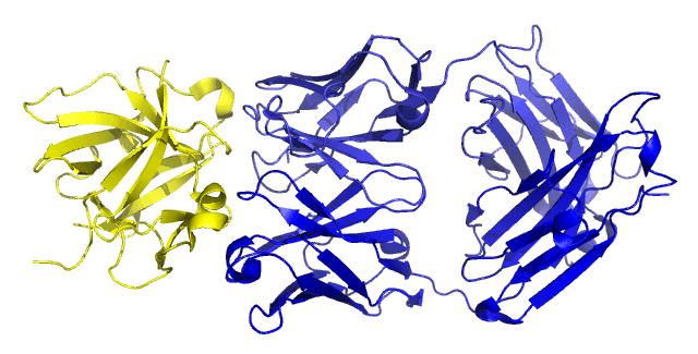 Canakinumab Novartis (canakinumab) — reference image