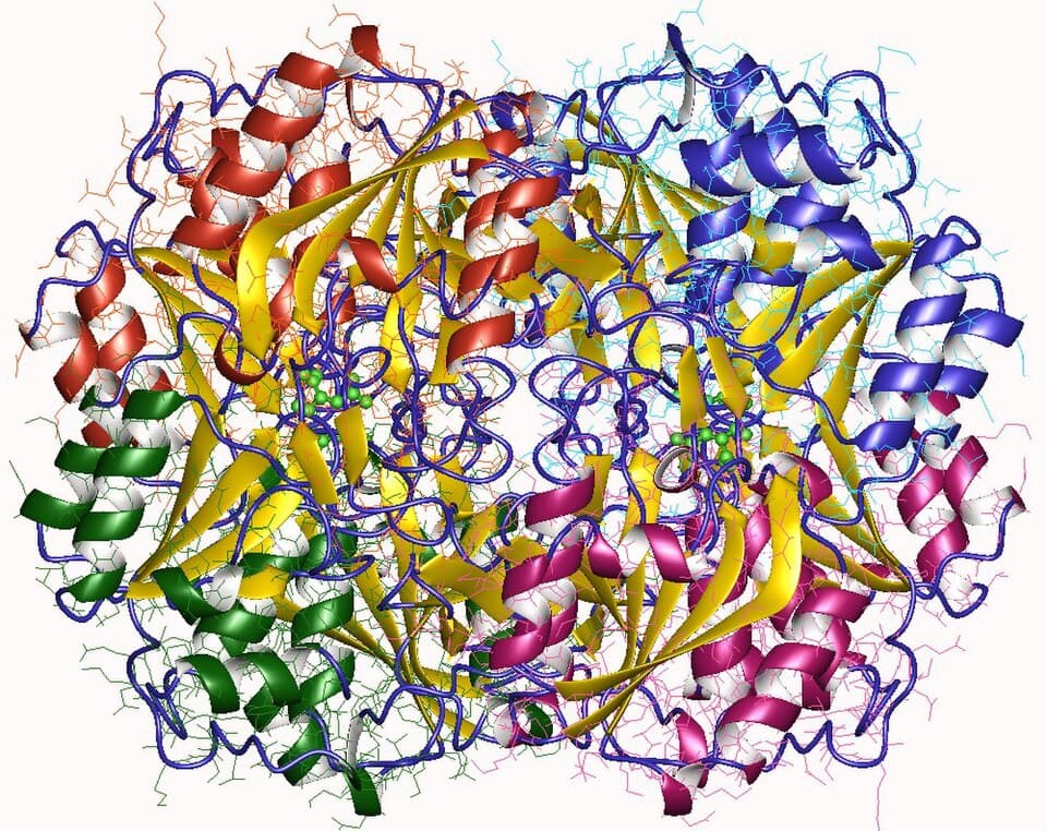 Graspa (asparaginase) — reference image