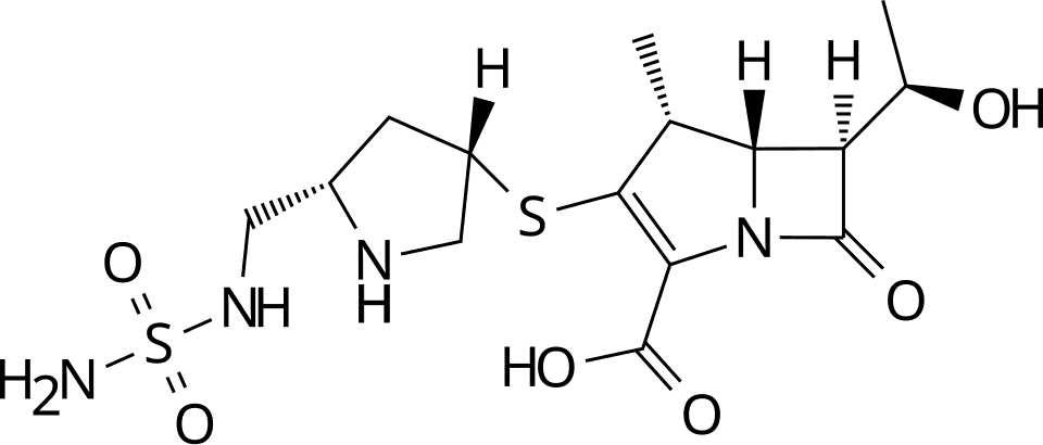 Дорипенем-Бинергия
                                 (Doripenem) (doripenem) — reference image