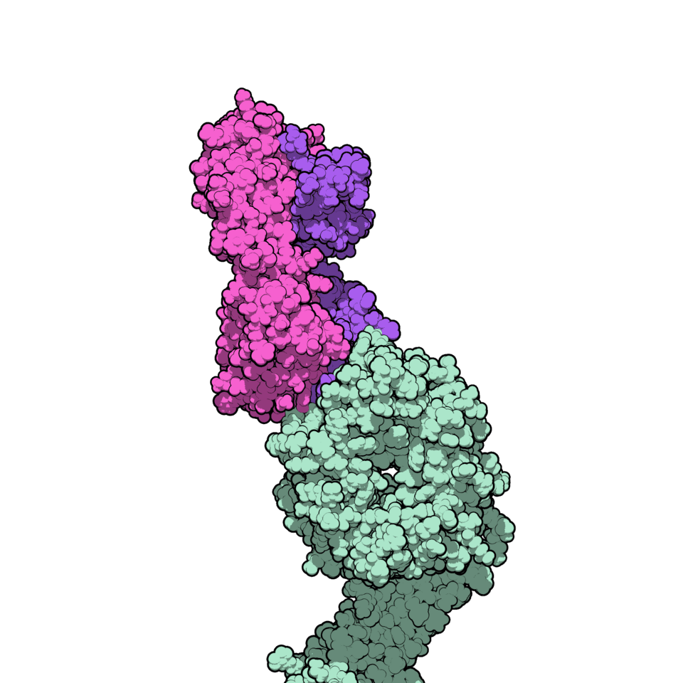 Natalizumab Elan Pharma (natalizumab) — reference image