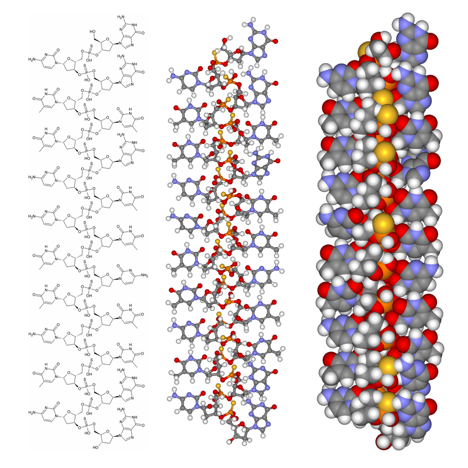 Vitravene (fomivirsen) — reference image