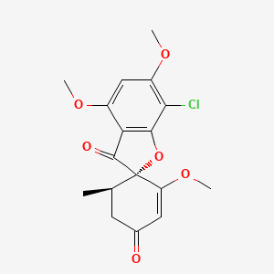 grisofulvin 125 mg/5mL SUSPENSION (GRISEOFULVIN) — reference image