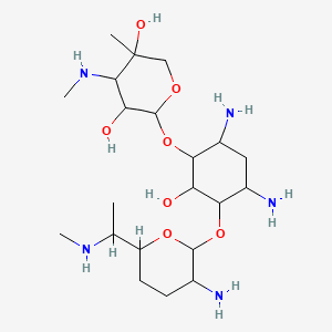 Gentamycyna Biowet Puławy 50 mg/ml Roztwór do wstrzykiwań (Gentamycinum) — reference image